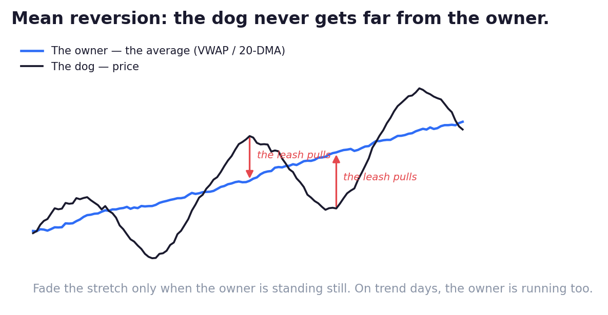 Price stretching away from its VWAP average and being pulled back, illustrated as a dog on a leash