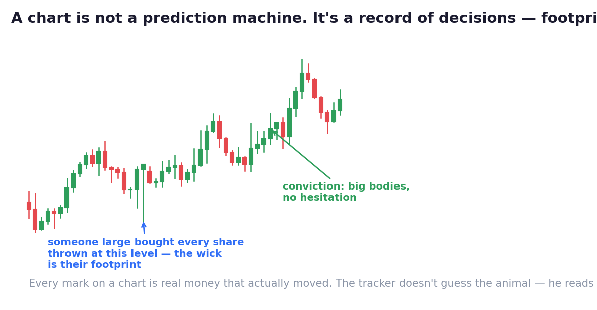 Every mark on a chart is real money that actually moved. The diary where nobody can lie.
