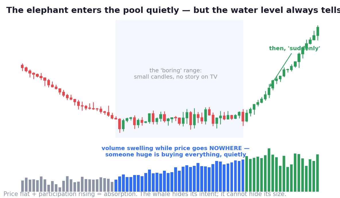 Price flat, participation swelling: enormous effort, zero movement. Only absorption explains that — the elephant entered quietly, and the water rose anyway.